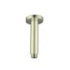 Picture of Nero Round Ceiling Arm 100mm Brushed Yellow Gold